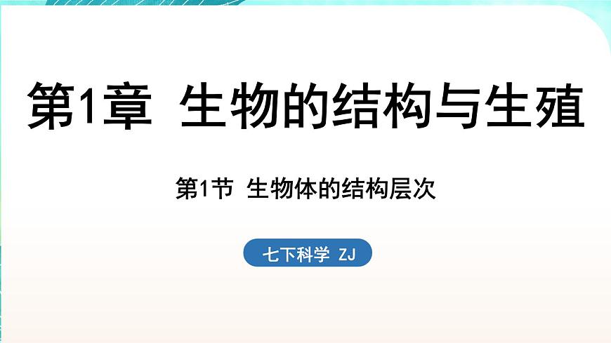 浙教版(2024）科學(xué)七年級(jí)下冊(cè) 1.1 生物體的結(jié)構(gòu)層次 （課件）第1頁
