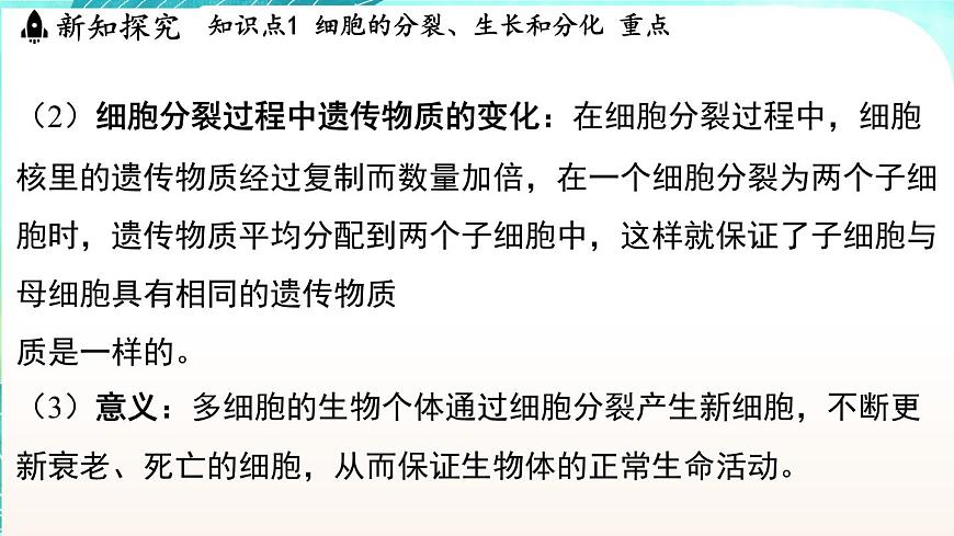 浙教版(2024）科學(xué)七年級(jí)下冊(cè) 1.1 生物體的結(jié)構(gòu)層次 （課件）第5頁