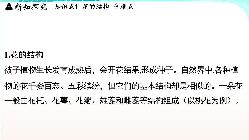 浙教版(2024）科學(xué)七年級(jí)下冊(cè) 1.3 植物的生殖與發(fā)育 （課件）第3頁(yè)