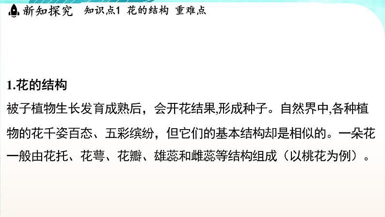 浙教版(2024)科学七年级下册 1.3 植物的生殖与发育 (课件)第3页