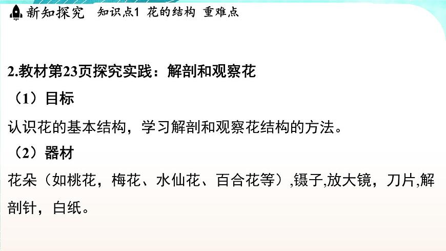 浙教版(2024）科學(xué)七年級(jí)下冊(cè) 1.3 植物的生殖與發(fā)育 （課件）第5頁(yè)