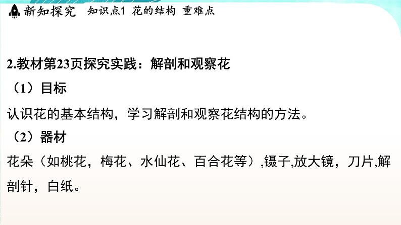 浙教版(2024)科学七年级下册 1.3 植物的生殖与发育 (课件)第5页