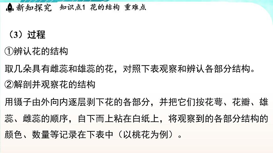 浙教版(2024）科學(xué)七年級(jí)下冊(cè) 1.3 植物的生殖與發(fā)育 （課件）第6頁(yè)