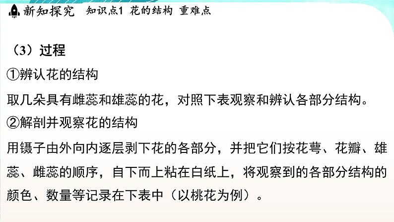 浙教版(2024)科学七年级下册 1.3 植物的生殖与发育 (课件)第6页