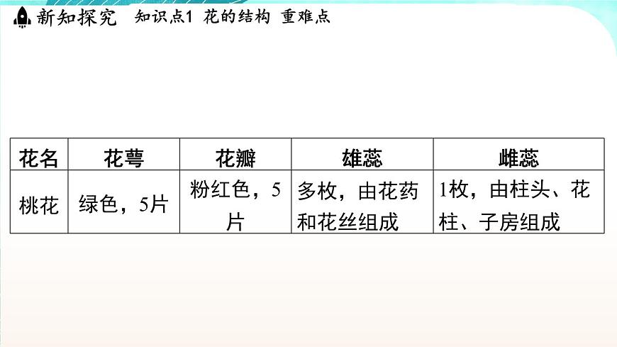 浙教版(2024）科學(xué)七年級(jí)下冊(cè) 1.3 植物的生殖與發(fā)育 （課件）第7頁(yè)