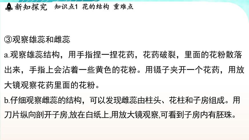 浙教版(2024）科學(xué)七年級(jí)下冊(cè) 1.3 植物的生殖與發(fā)育 （課件）第8頁(yè)