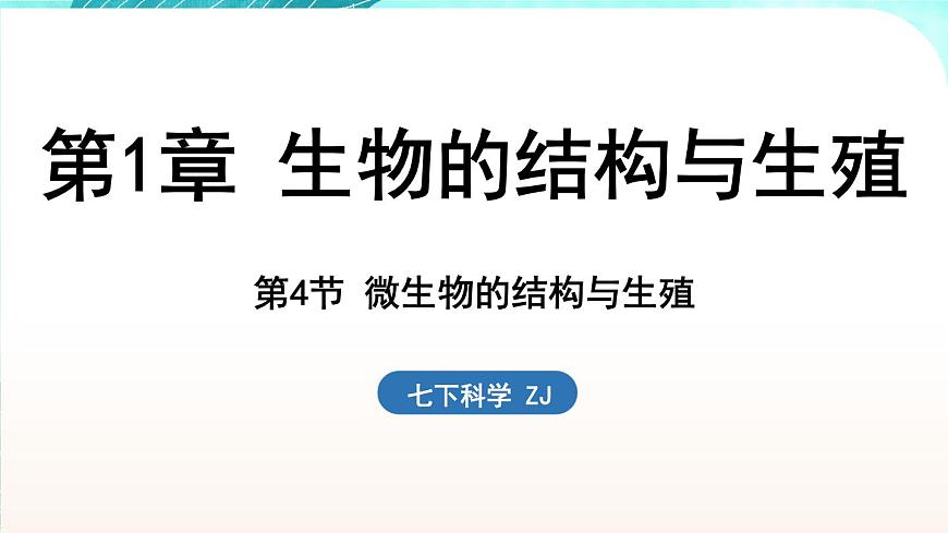 浙教版(2024）科學(xué)七年級下冊 1.4 微生物的結(jié)構(gòu)與生殖 （課件）第1頁