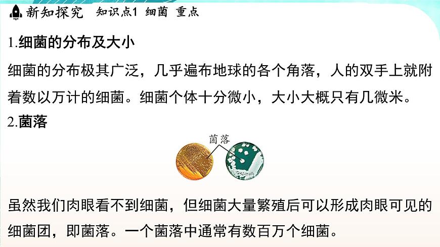 浙教版(2024）科學(xué)七年級下冊 1.4 微生物的結(jié)構(gòu)與生殖 （課件）第3頁