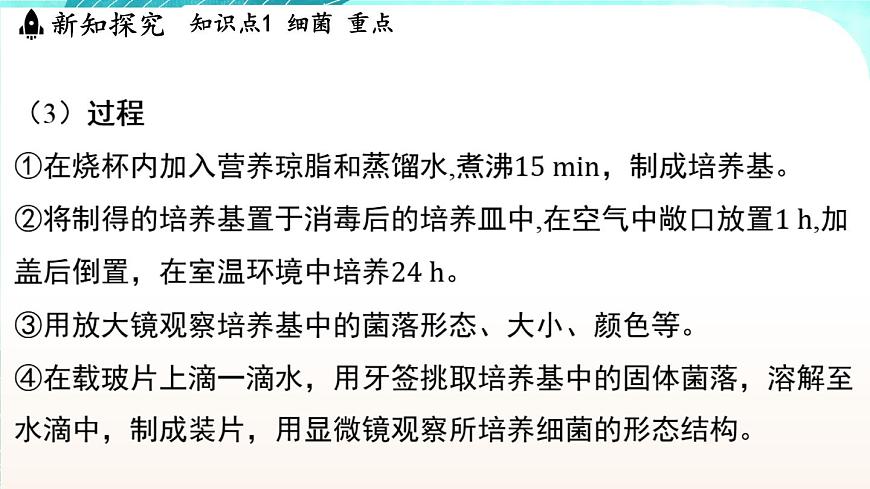 浙教版(2024）科學(xué)七年級下冊 1.4 微生物的結(jié)構(gòu)與生殖 （課件）第5頁