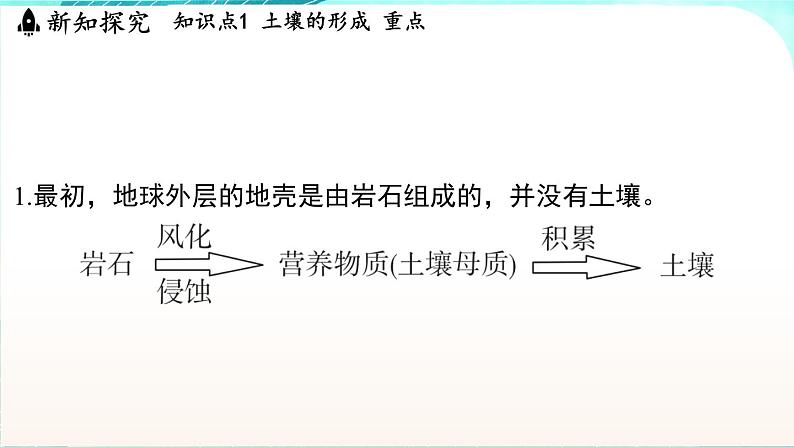 浙教版(2024)科学七年级下册 4.2 土壤的结构和质地 (课件)第3页