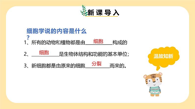 七下新浙教版(2025)初中科学 第一章生命的结构与生殖 1.1《生物体的结构层次》 第1课时 课件第4页