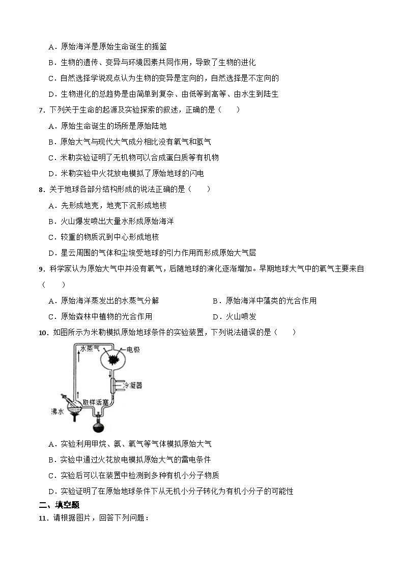 第3节地球的演化和生命的起源同步练习2024-2025学年初中科学浙教版九年级下册第一单元第2页