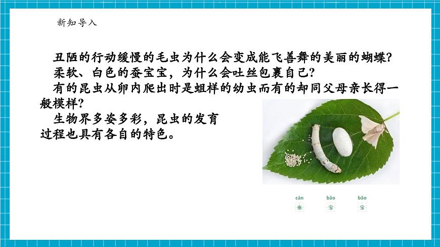 浙教版七下科學(xué) 1. 2 人和動(dòng)物的生殖與發(fā)育（2）第4頁