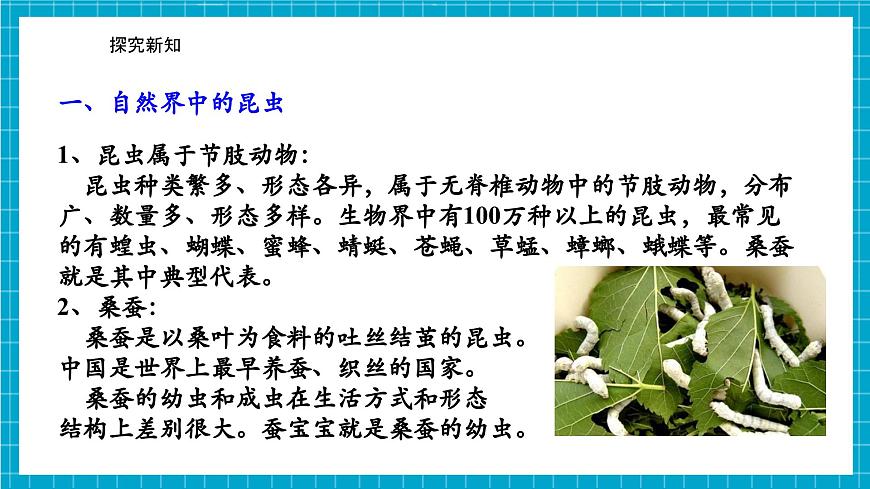 浙教版七下科學(xué) 1. 2 人和動(dòng)物的生殖與發(fā)育（2）第5頁