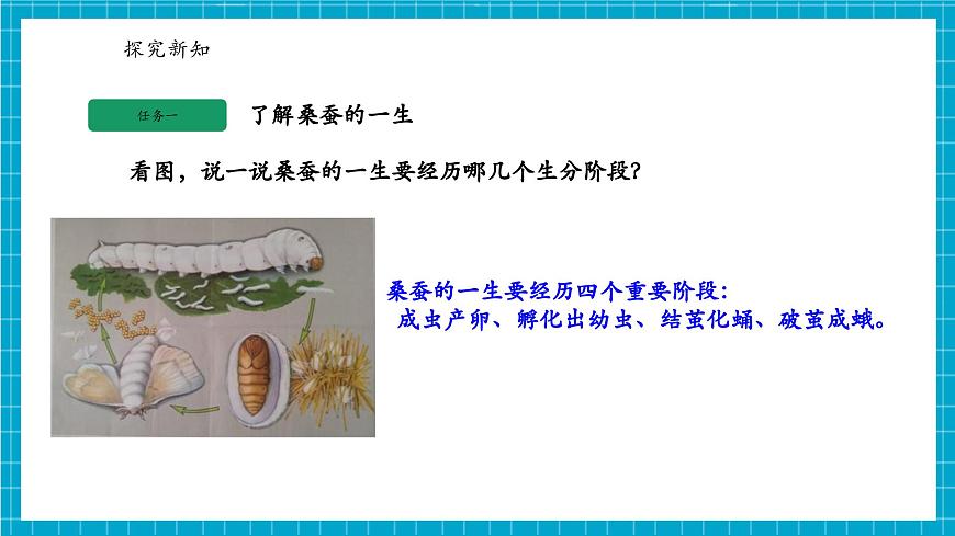 浙教版七下科學(xué) 1. 2 人和動(dòng)物的生殖與發(fā)育（2）第6頁