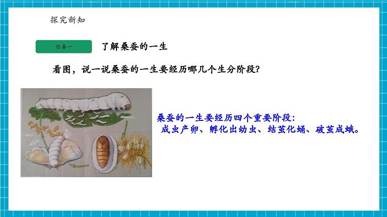 浙教版七下科学 1. 2 人和动物的生殖与发育(2)第6页