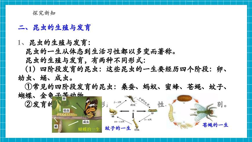 浙教版七下科學(xué) 1. 2 人和動(dòng)物的生殖與發(fā)育（2）第7頁