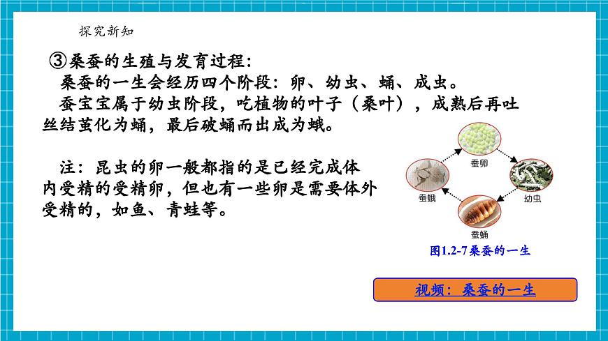 浙教版七下科學(xué) 1. 2 人和動(dòng)物的生殖與發(fā)育（2）第8頁