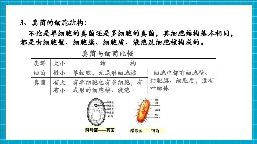浙教版七下科學(xué) 1.4 微生物的結(jié)構(gòu)與發(fā)育（2）第8頁