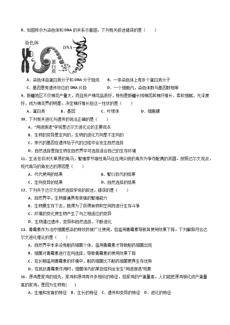 【核心素养】浙教版科学九年级下册 1.4-1.5生物的遗传与进化(分层练习)(原卷版)第3页