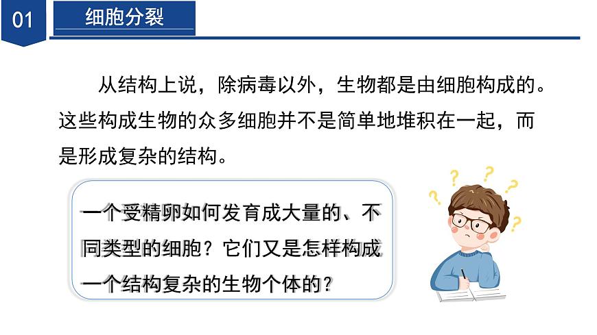 【核心素養(yǎng)】浙教版科學七年級下冊1.1 生物體的結(jié)構(gòu)層次（第1課時）（教學課件）第7頁