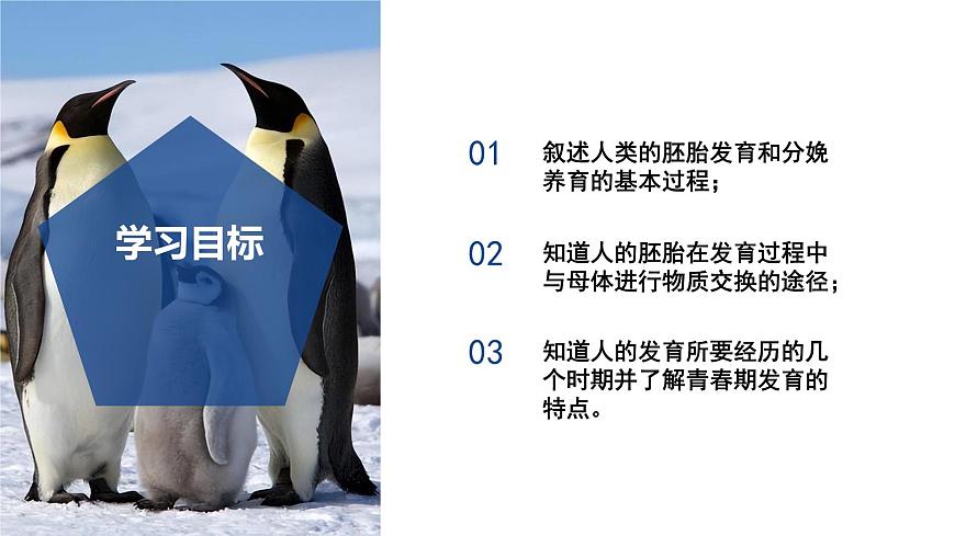 【核心素養(yǎng)】浙教版科學七年級下冊1.2 人和動物的生殖與發(fā)育（第1課時）（教學課件）第3頁