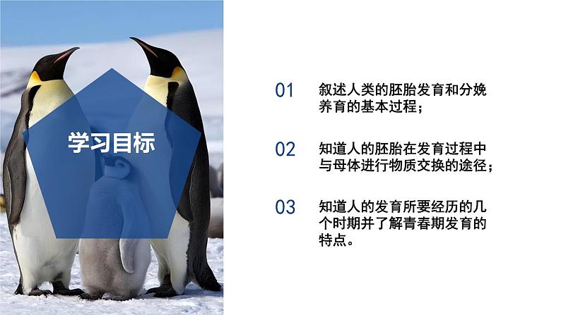 【核心素养】浙教版科学七年级下册1.2 人和动物的生殖与发育(第1课时)(教学课件)第3页