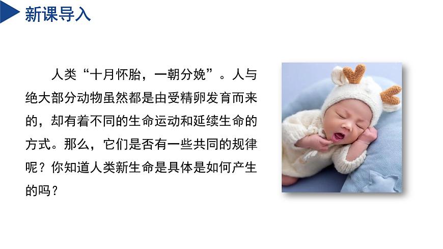 【核心素養(yǎng)】浙教版科學七年級下冊1.2 人和動物的生殖與發(fā)育（第1課時）（教學課件）第4頁