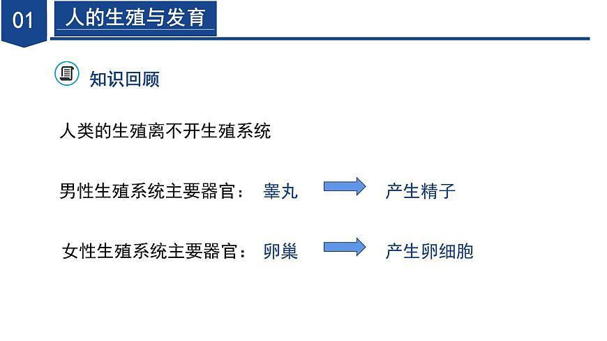 【核心素養(yǎng)】浙教版科學七年級下冊1.2 人和動物的生殖與發(fā)育（第1課時）（教學課件）第6頁