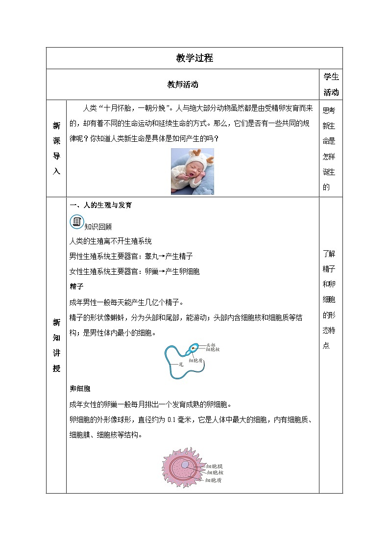 【核心素养】浙教版科学七年级下册1.2 人和动物的生殖与发育(第1课时)(教学设计)第2页