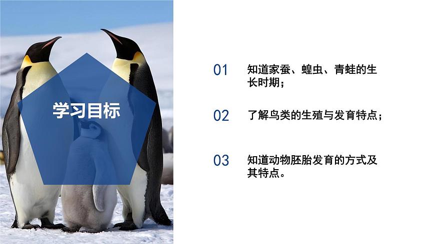 【核心素養(yǎng)】浙教版科學(xué)七年級(jí)下冊(cè)1.2 人和動(dòng)物的生殖與發(fā)育（第2課時(shí)）（教學(xué)課件）第3頁(yè)