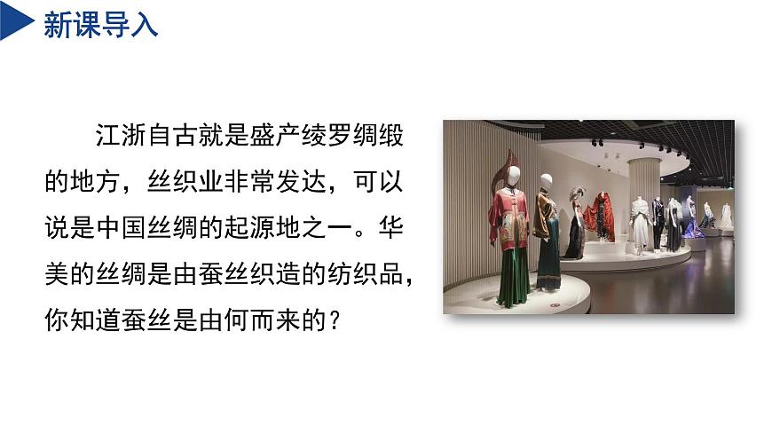 【核心素養(yǎng)】浙教版科學(xué)七年級(jí)下冊(cè)1.2 人和動(dòng)物的生殖與發(fā)育（第2課時(shí)）（教學(xué)課件）第4頁(yè)