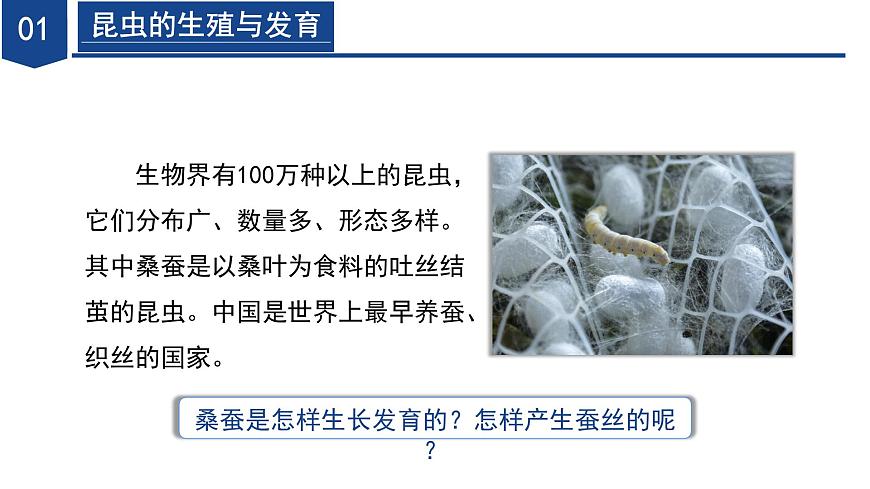【核心素養(yǎng)】浙教版科學(xué)七年級(jí)下冊(cè)1.2 人和動(dòng)物的生殖與發(fā)育（第2課時(shí)）（教學(xué)課件）第6頁(yè)