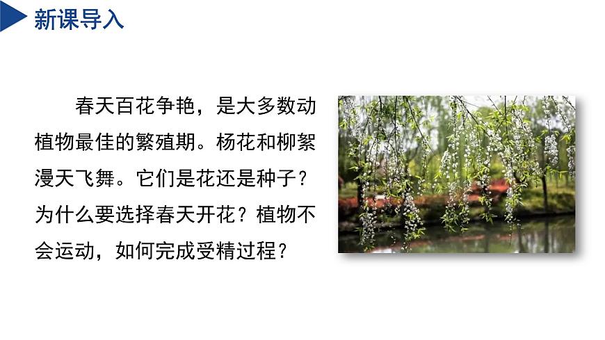 【核心素養(yǎng)】浙教版科學(xué)七年級下冊1.3 植物的生殖與發(fā)育（第1課時）（教學(xué)課件）第4頁