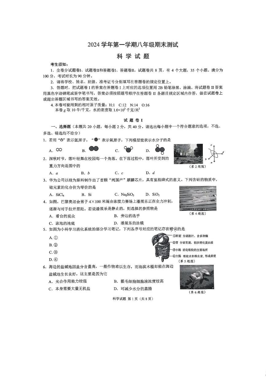 浙江省宁波市鄞州区2024-2025学年八年级上学期期末科学试卷