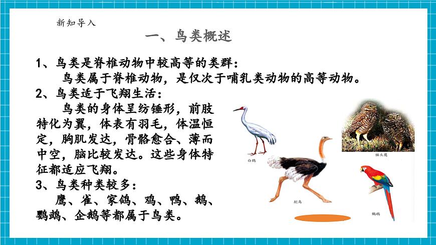 浙教版七下科學(xué) 1.2 人和動物的生殖與發(fā)育（3）第5頁