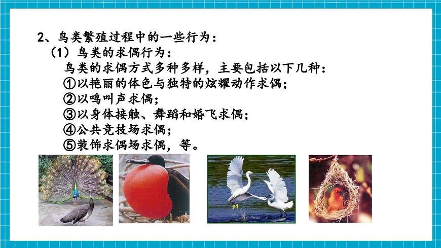 浙教版七下科學(xué) 1.2 人和動物的生殖與發(fā)育（3）第7頁