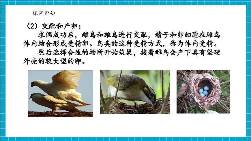 浙教版七下科學(xué) 1.2 人和動物的生殖與發(fā)育（3）第8頁