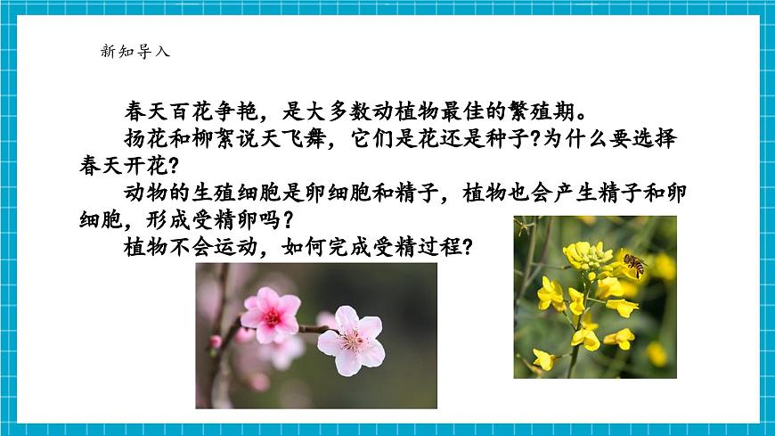 浙教版七下科學(xué) 1.3 植物的生殖與發(fā)育（1）第4頁(yè)