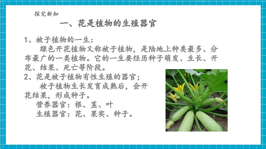 浙教版七下科學(xué) 1.3 植物的生殖與發(fā)育（1）第5頁(yè)