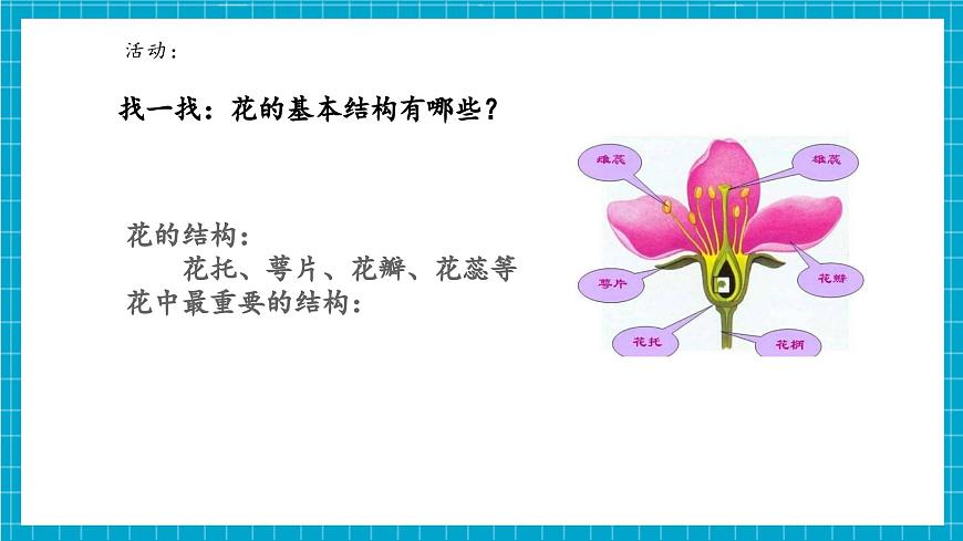 浙教版七下科學(xué) 1.3 植物的生殖與發(fā)育（1）第6頁(yè)