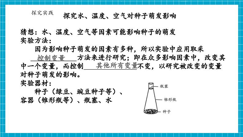 浙教版七下科学 1.3 植物的生殖与发育(3)第8页