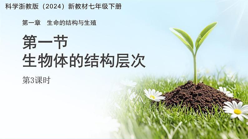 第一章 第一节 生物体的结构层次 第三课时 课件 科学浙教版(2024)七年级下册第1页