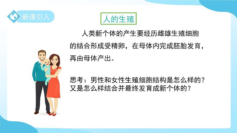 第1章 第2节 人和动物的生殖与发育 第1课时 课件 科学浙教版(2024)七年级下册第4页