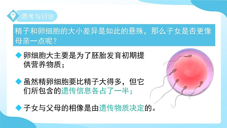 第1章 第2节 人和动物的生殖与发育 第1课时 课件 科学浙教版(2024)七年级下册第8页