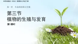 第1章 第3节 植物的生殖与发育 第1课时 课件 科学浙教版（2024）七年级下册