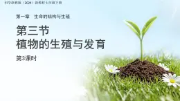 第1章 第3节 植物的生殖与发育 第3课时 课件 科学浙教版（2024）七年级下册