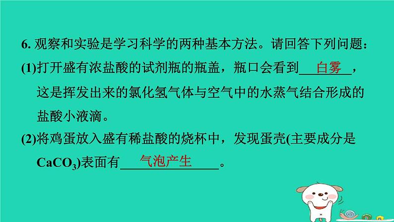 2024九年级化学上册第1章物质及其变化第3节常见的酸第1课时盐酸习题课件浙教版第8页