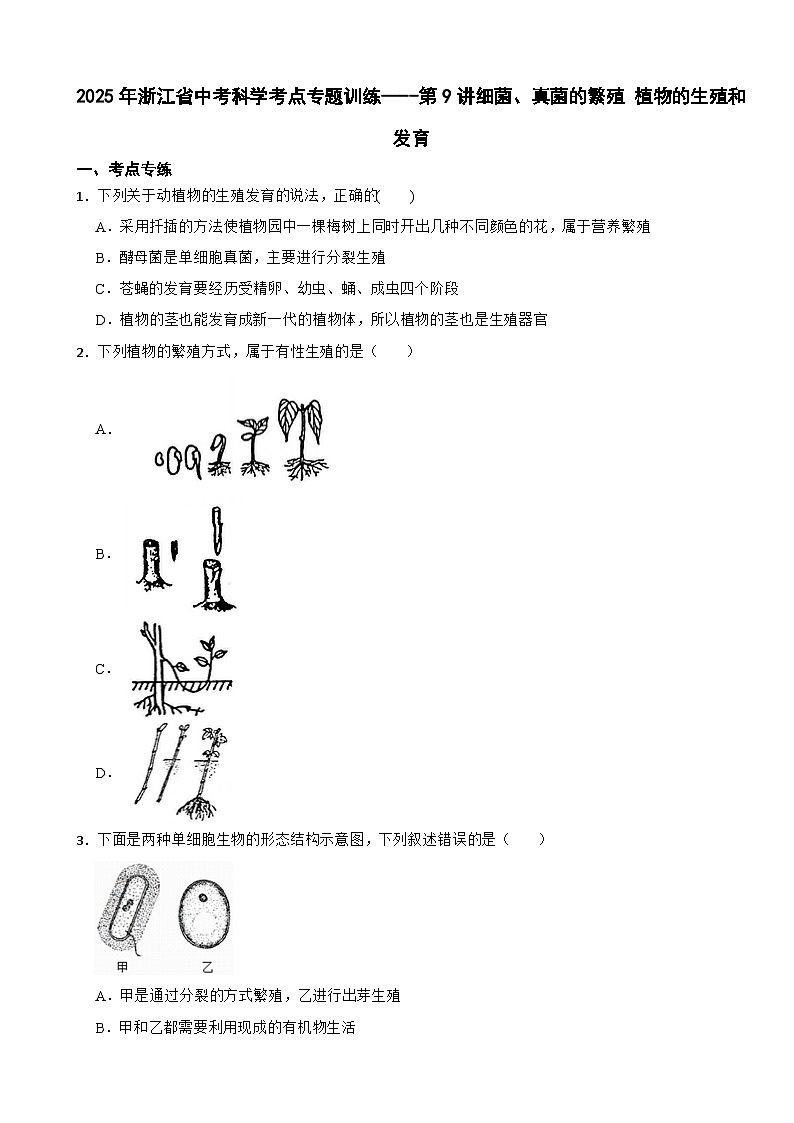 2025年浙江省中考科学考点专题训练----第9讲细菌、真菌的繁殖 植物的生殖和发育第1页