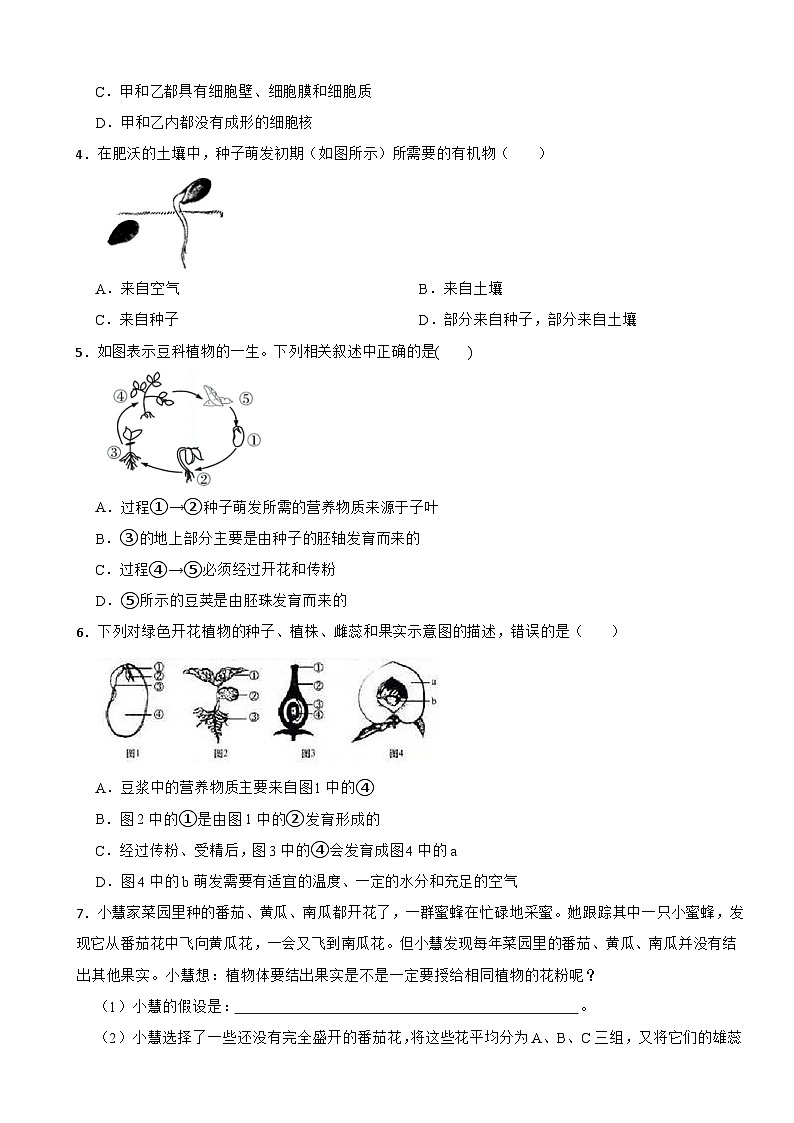 2025年浙江省中考科学考点专题训练----第9讲细菌、真菌的繁殖 植物的生殖和发育第2页